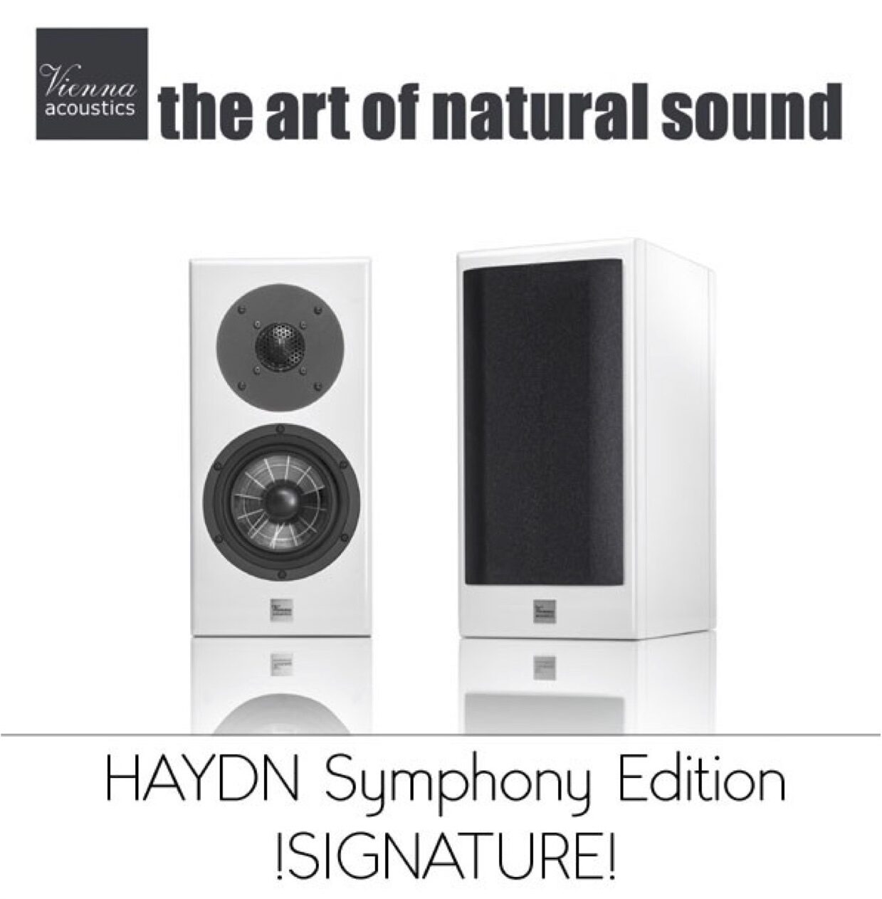 haydn Symphony