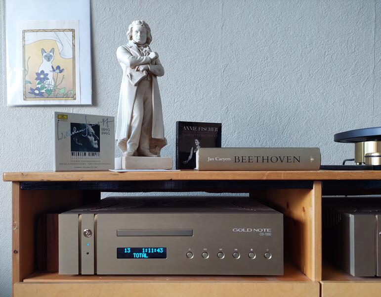 Beethoven in Delft