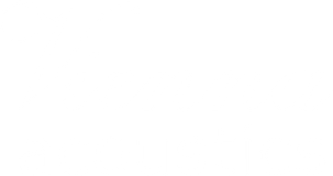 Vienna Acoustics logo